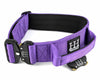 Purple Tactical Collar