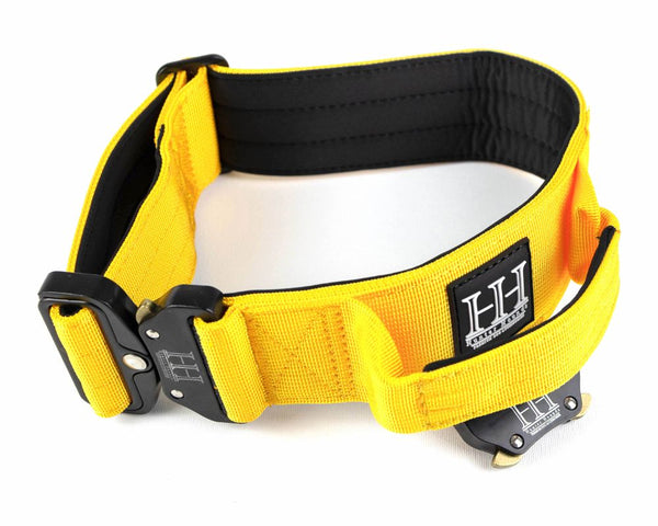 Mustard Tactical Collar