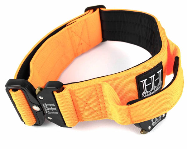 Orange Tactical Collar